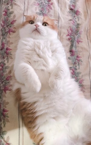 今日はなんの日( ˙꒳​˙ )？ - 画像3