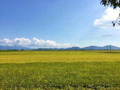 寒露、236 - 画像2