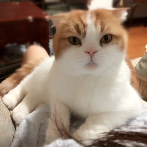 おもてなし会ありがとうございました！ - 画像4