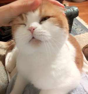 おもてなし会ありがとうございました！ - 画像5