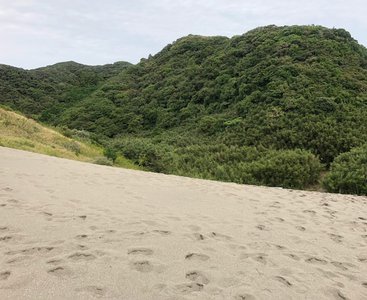 おとといの出来事〜402〜のサムネイル