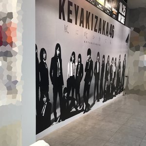 風に吹かれても( ¨̮ )のサムネイル
