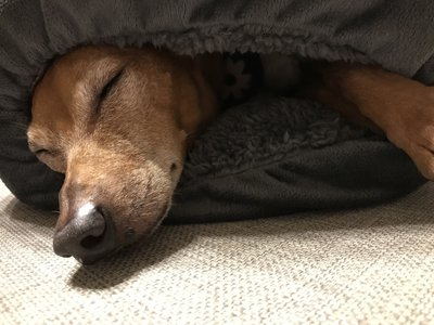 癒される〜〜のサムネイル