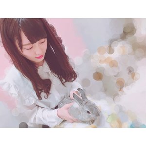 どうぶつ。 - 画像5