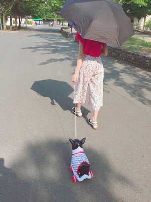 やあ( *・ω・)ノ - 画像2