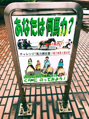 私の本当の馬力 - 画像2