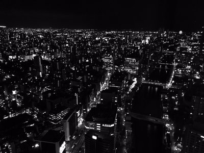 かも2 - 画像2