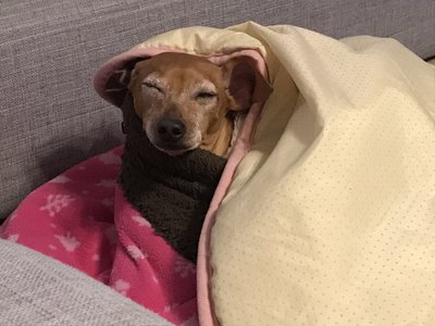 匂いフェチではない、、のサムネイル