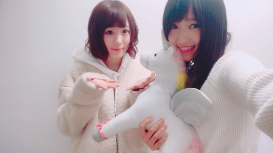新しい仲間(･ω･)人(･ω･) - 画像3