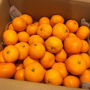 藤枝駅のサムネイル