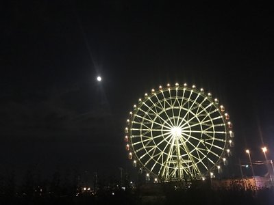 一度も呼んだことない!のサムネイル