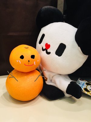どっちがかわいい？？？？ - 画像2