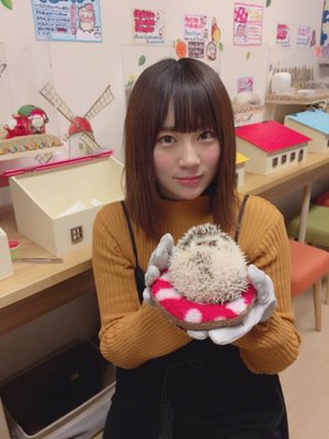 ハリネズミカフェ🎅🎄 - 画像2