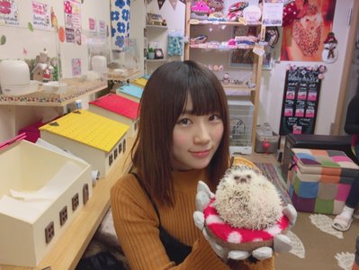 ハリネズミカフェ🎅🎄 - 画像4