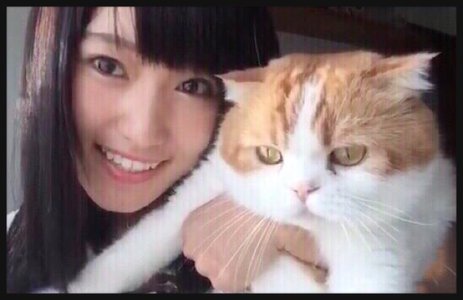 いろいろ!!のサムネイル