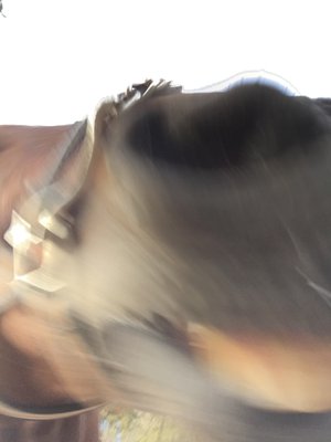 いろいろ!! - 画像2