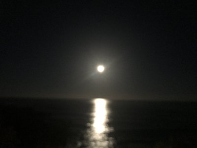 もう木曜日 - 画像4