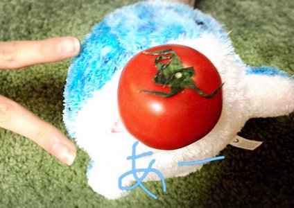 食べ物。 - 画像2