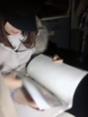 整頓、263 - 画像2