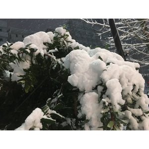 雪だるまつくろー。のサムネイル