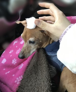 こんなに振るなんて思ってなかったよ～(´Д` )*.*のサムネイル