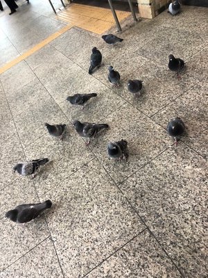 にじいろ。㉖ - 画像2