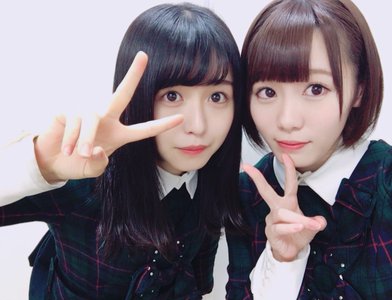 苗木、264のサムネイル
