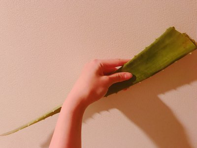 焼き肉したい。鍋食べたい。一緒に行こ〜 - 画像5