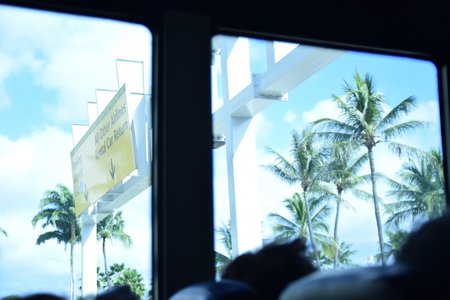 写真展? - 画像3