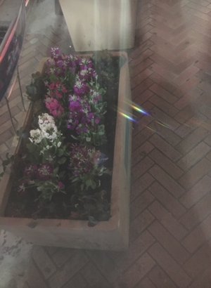 延長コード、270 - 画像2