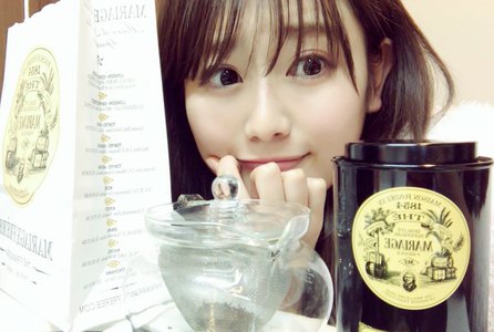 お花見陽気。曇り時々晴れのサムネイル