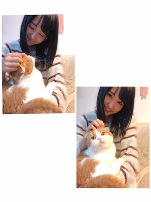 馬術大会の思い出🐴🥚のサムネイル