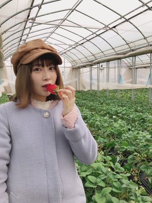 イチゴ狩り🍓 - 画像3