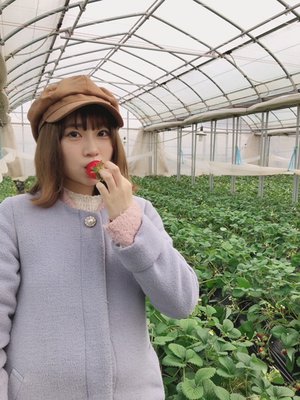 イチゴ狩り🍓 - 画像4