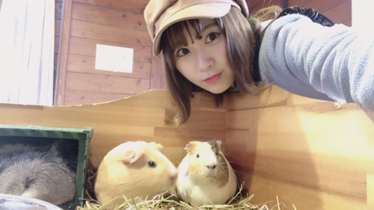 メェエエエーーーー🐏 - 画像2