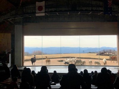 メェエエエーーーー🐏 - 画像3