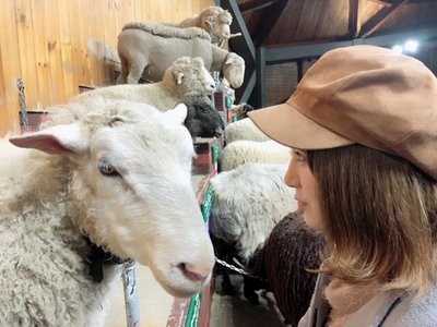 メェエエエーーーー🐏 - 画像6