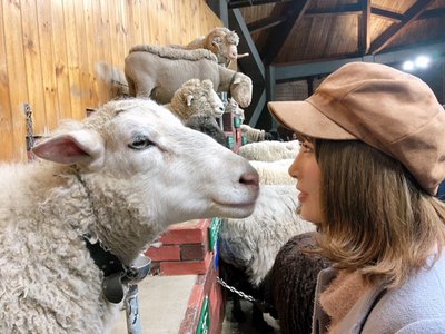 メェエエエーーーー🐏 - 画像7