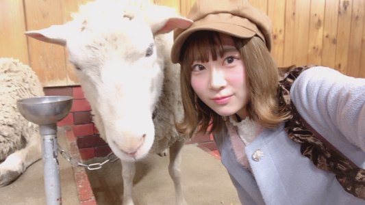 メェエエエーーーー🐏 - 画像8