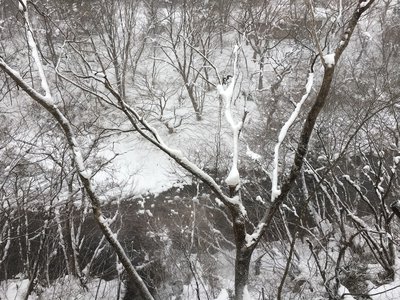 曇り。明日は雪降るかな。のサムネイル