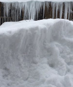 曇り。明日は雪降るかな。 - 画像2
