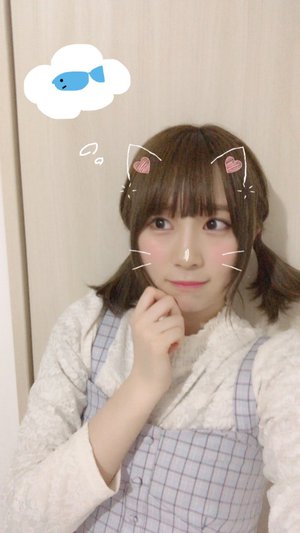 猫の日🐈 - 画像1