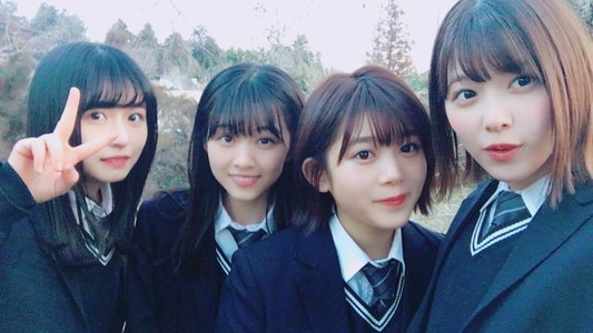 トンビ。のサムネイル