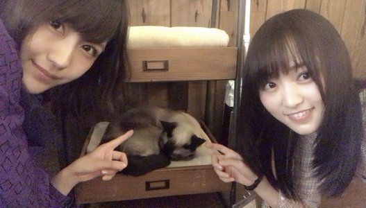 人生初の🐈♪のサムネイル