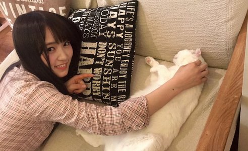 人生初の🐈♪ - 画像2