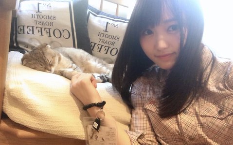 人生初の🐈♪ - 画像5