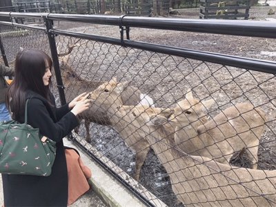 非日常\ ♪♪ /のサムネイル
