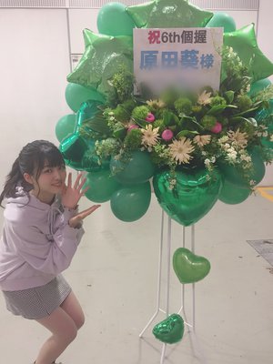🐜🐜🐜🐜🐜🐜🐜🐜🐜🐜 - 画像5