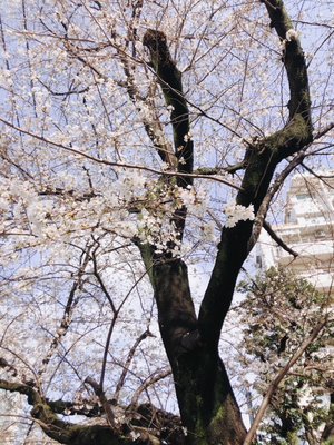 にじいろ。㊿のサムネイル