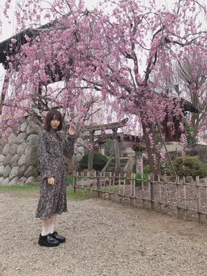 井戸自身が俺っさ〜 - 画像2